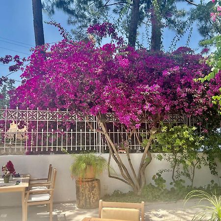 Carikci Hotel Marmaris Exteriér fotografie